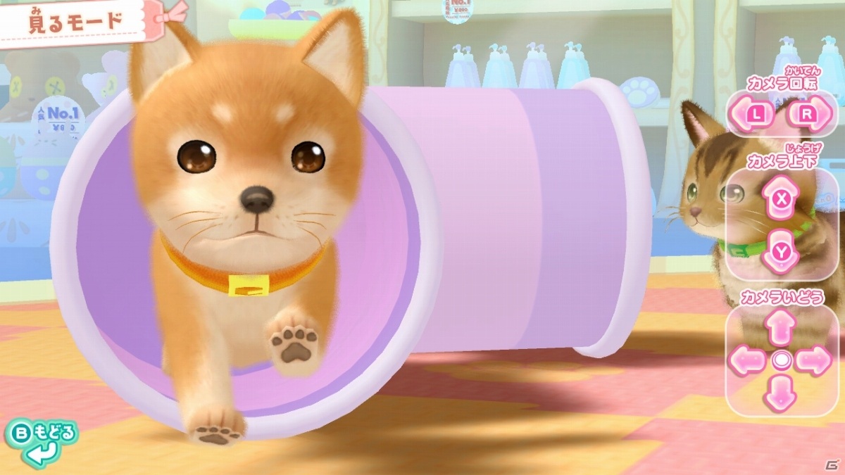Switch「わんニャンペットショップ かわいいペットとふれあう毎日」が7月15日に発売！の画像9