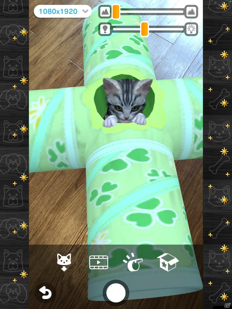 子猫育成シミュレーション「with My CAT - 猫とくらそう -」がiOS/Android向けに配信！子猫とふれあって仲良くなろうの画像4