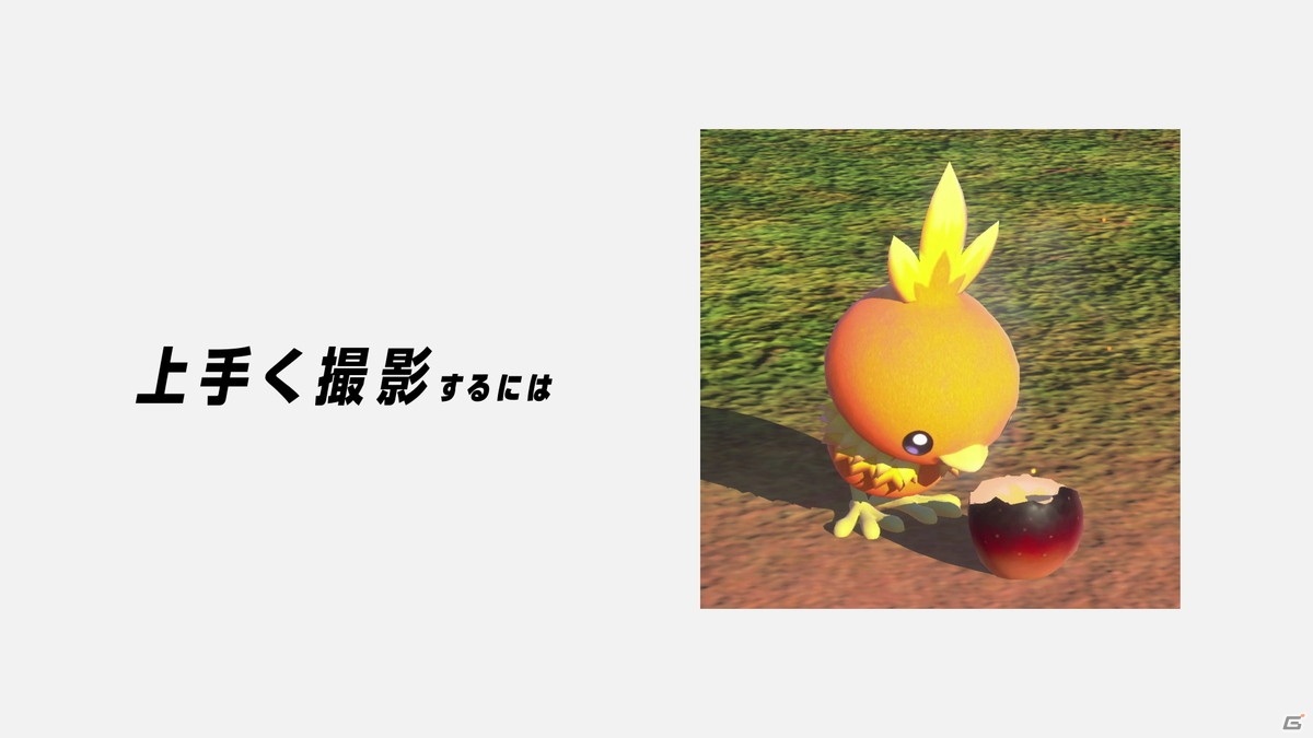 「New ポケモンスナップ」撮影に役立つものや新たなポケモンが観察可能になる調査レベルなど詳しい遊びかたを紹介！の画像7