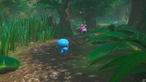 New ポケモンスナップ が発売 ローソンプリントサービスや Pokemon Go とのコラボも開催 ゲーム情報サイト Gamer