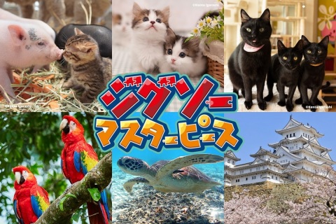 Switch「ジグソーマスターピース」のリリース1周年を記念した追加パックが配信開始！の画像1