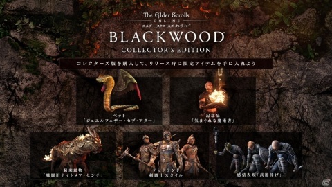 「エルダー・スクロールズ・オンライン」日本語版の新パッケージ「ブラックウッド」が配信開始!の画像10