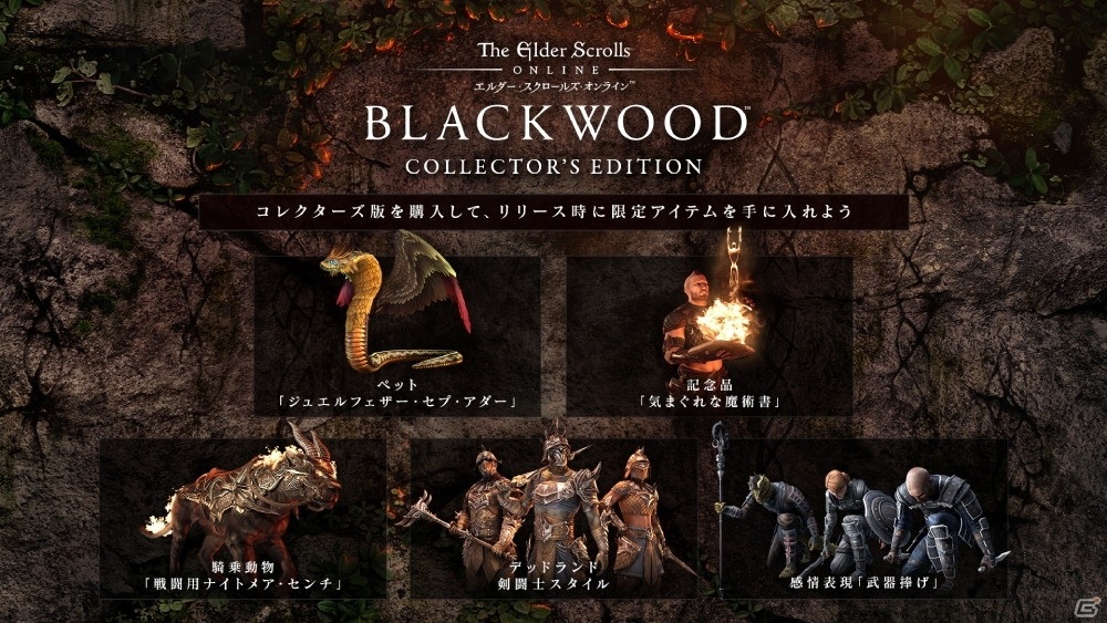「エルダー・スクロールズ・オンライン」日本語版の新パッケージ「ブラックウッド」が配信開始！の画像10