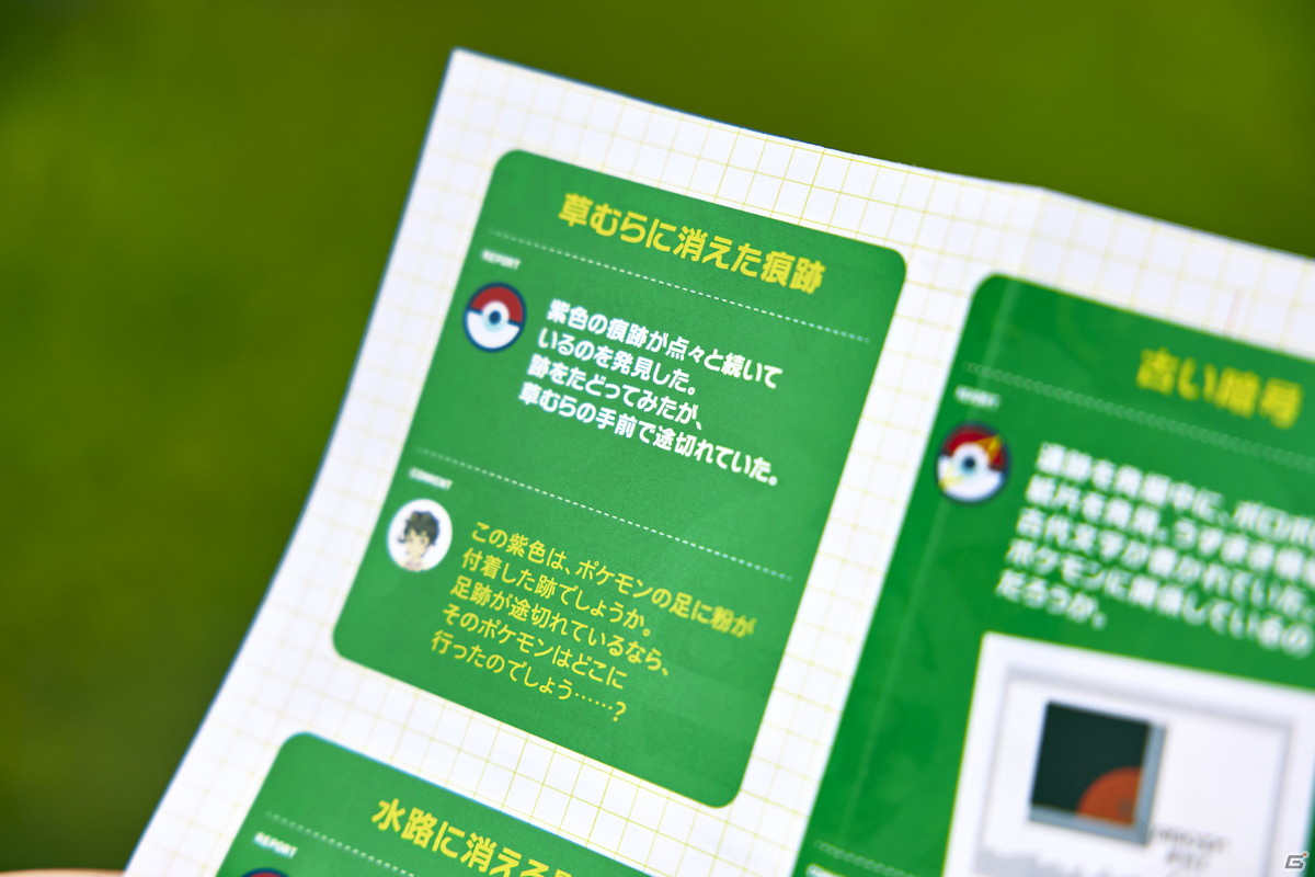 大自然の中で「ポケモン」を探すネイチャーアドベンチャー「Pokémon WONDER」が7月17日にオープン！の画像15