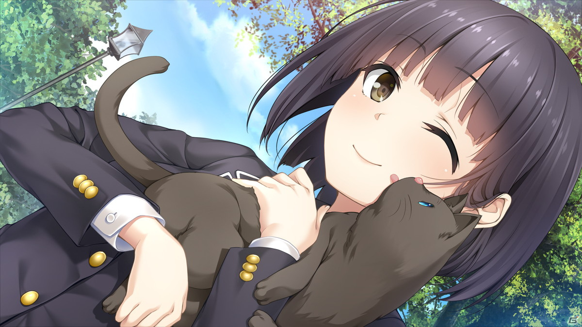 「フルキスS」と「フルキス」がセットになった「フルキスSS」がPS4/Switch向けに10月28日発売！の画像8