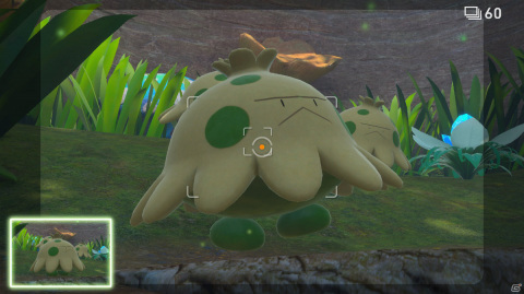 「New ポケモンスナップ」無料アップデートが8月4日に配信!3つの新エリアや20匹のポケモンが登場の画像5