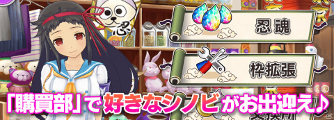 「シノビマスター 閃乱カグラ NEW LINK」月光と閃光の双乳祭限定カードが登場！「81（パイ）の日記念SPキャンペーン」が実施の画像13
