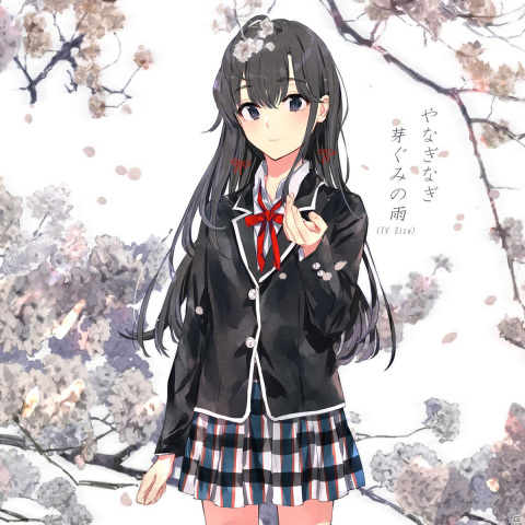 「やはり俺の青春ラブコメはまちがっている。」原作10周年記念キャンペーンinアニメイト開催決定！の画像7