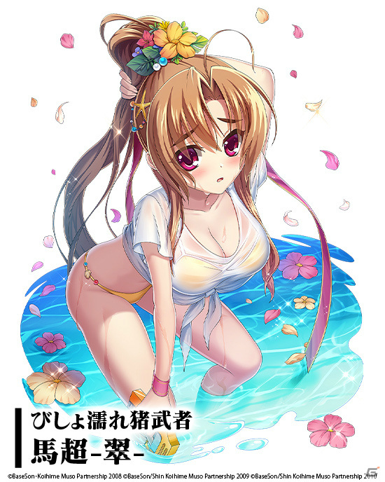 「三国大戦スマッシュ！」美少女武将が水着姿でウォーターバトル！TVアニメ「恋姫†夢想」シリーズとのコラボが実施の画像5
