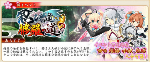 「戦国†恋姫オンライン ～奥宴新史～」夏休みキャンペーンが開催！最大4,500個の姫晶石を手に入れようの画像2
