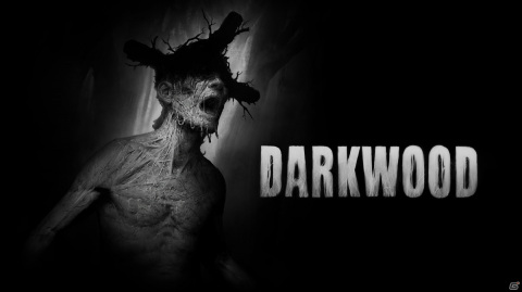 PS4/Switch「Darkwood」が9月2日に配信！不気味な森からの脱出を目指す2D見下ろし型サバイバルホラーACTの画像1
