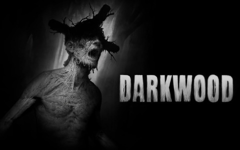 PS4/Switch「Darkwood」が9月2日に配信！不気味な森からの脱出を目指す2D見下ろし型サバイバルホラーACT