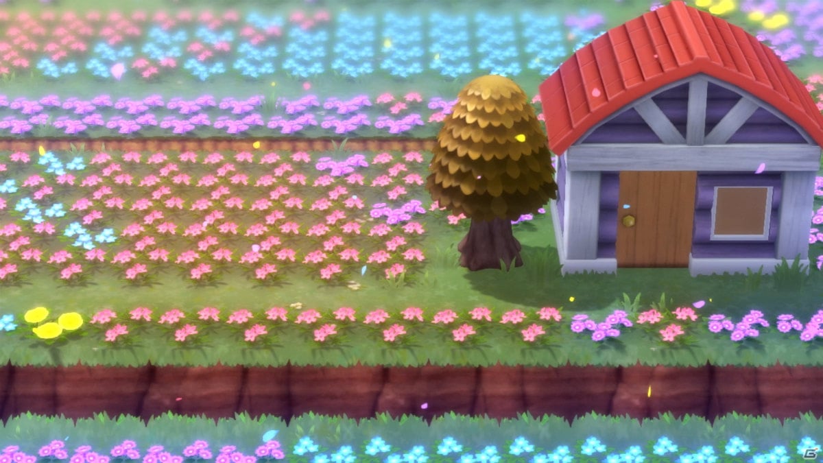 「ポケットモンスター ブリリアントダイヤモンド・シャイニングパール」の予約が開始！の画像5