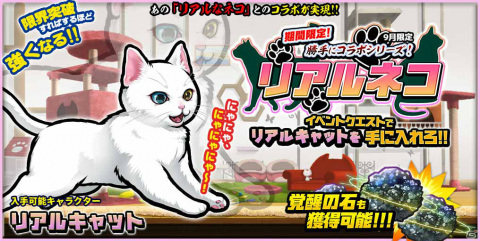 「ぼくとネコ」リアルなネコとのコラボが実現！激レアキャラクターに進化する「リアルキャット」を手に入れようの画像1