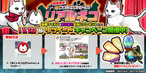 「ぼくとネコ」リアルなネコとのコラボが実現！激レアキャラクターに進化する「リアルキャット」を手に入れようの画像4