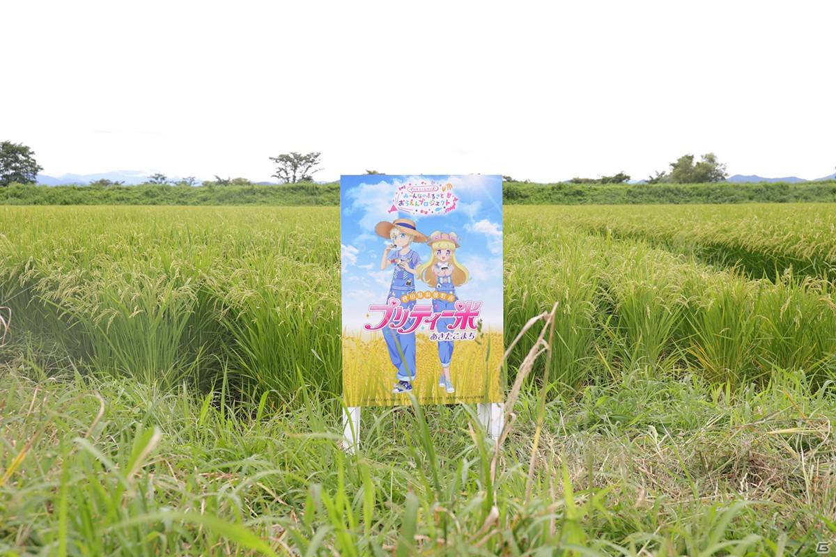 「ワッチャプリマジ！」コーデチェンジなどをお手伝いしてくれる妖精・タントちゃん（CV：伊藤かな恵）が公開！の画像10