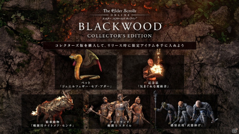 「エルダー・スクロールズ・オンライン」日本語版のDLCが最大89%オフのオータムセールが実施!の画像2