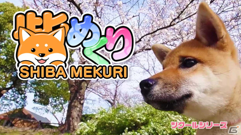 Switch「ツクールシリーズ 柴めくり」が発売！柴犬ひなの日常動画盛りだくさんのパズルゲームの画像1