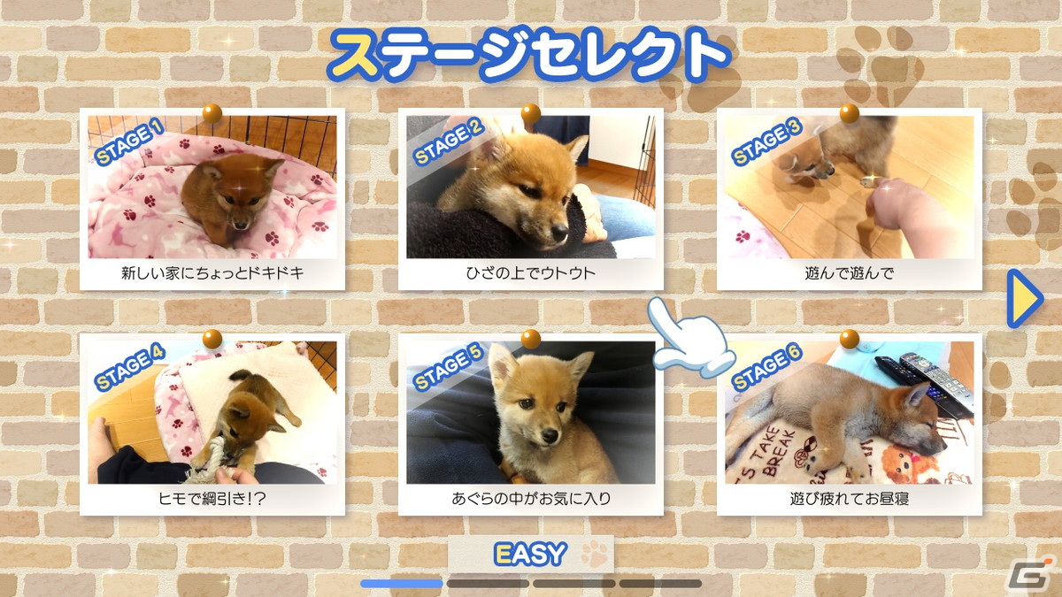 Switch「ツクールシリーズ 柴めくり」が発売！柴犬ひなの日常動画盛りだくさんのパズルゲームの画像4