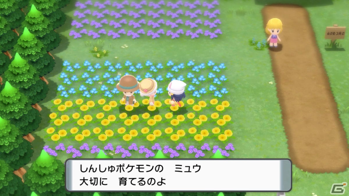 「ポケットモンスター ブリリアントダイヤモンド・シャイニングパール」伝説のポケモンと出会える施設「ハマナスパーク」や連動特典を紹介！​の画像19
