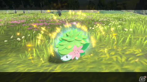 「Pokémon LEGENDS アルセウス」シェイミをゲットするチャンスも！連動特典情報が公開の画像1