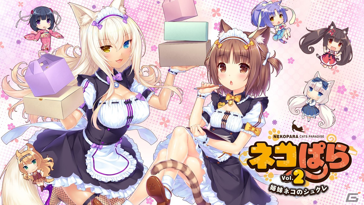 CFK、「プリンセスメーカー ゆめみる妖精」や「ワンダーボーイ リターンズ リミックス」などSwitch/PCタイトルを対象としたセールを開催！の画像3