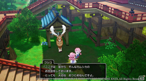 「ドラゴンクエストX　目覚めし五つの種族　オフライン」エルフが統治する「エルトナ大陸」やカジノが楽しめる「娯楽島ラッカラン」を紹介！の画像9