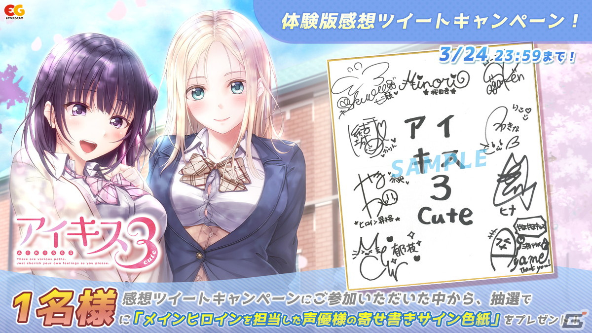 特選品 Switch アイキス3 Cute 【公式通販】