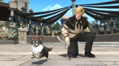「ファイナルファンタジーXIV」にてパッチ6.1xとして後日公開予定のサブストーリークエスト「タタルの大繁盛商」などを紹介！の画像12