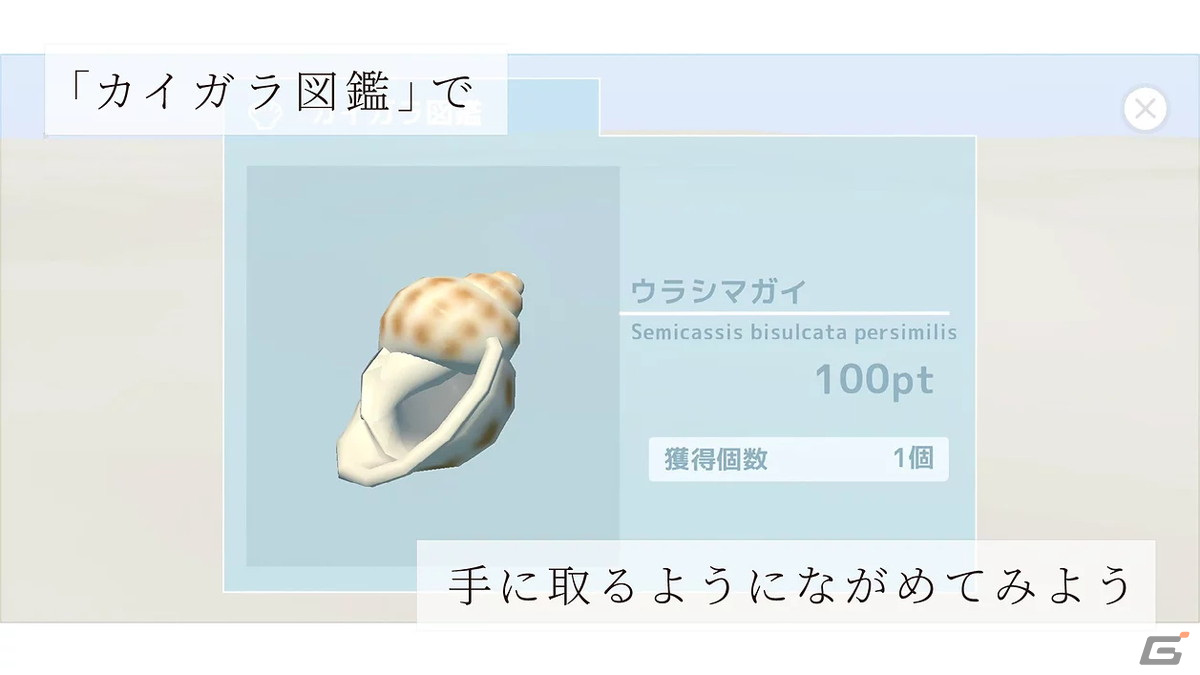 貝殻拾いアドベンチャー「ウミノオト」がAndroid向けに配信開始！海の音がする景色を集めていくことで明らかになる真実とはの画像5