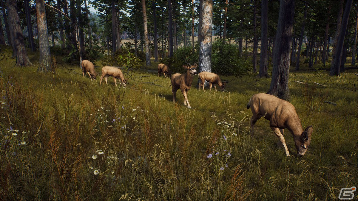 大自然でリアルなハンティングが楽しめる「Way of the Hunter」がPS5/Xbox Series X|S/PC向けに発売決定！の画像2
