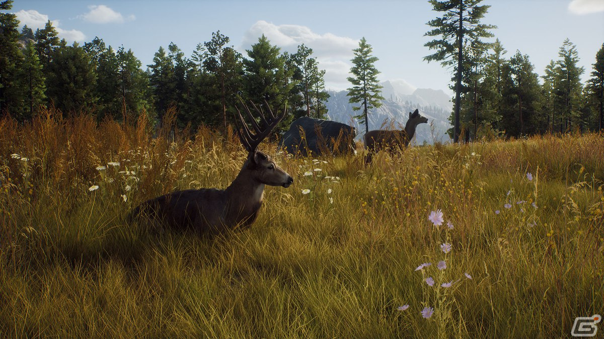 大自然でリアルなハンティングが楽しめる「Way of the Hunter」がPS5/Xbox Series X|S/PC向けに発売決定！の画像7