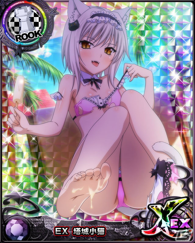 「ハイスクールD×D」塔城小猫やリアス・グレモリーらがビキニメイド姿で登場するイベント「メイドとビキニと大掃除！」が開催！の画像3