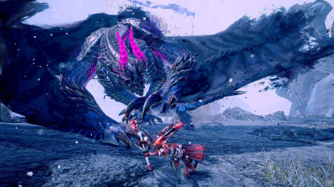 「モンスターハンターライズ：サンブレイク」で黒蝕竜「ゴア・マガラ」が復活！最新映像で新たな登場モンスターが明らかにの画像5