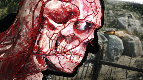 「Sniper Elite 5」のPS5/PS4向け日本語パッケージ版が発売！実在するロケーションを再現したマップで狙撃体験を楽しもうの画像5