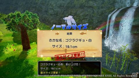 「ドラゴンクエストX　目覚めし五つの種族　オフライン」ミニゲームとして楽しめる「釣り」「ふくびき」を紹介！の画像11