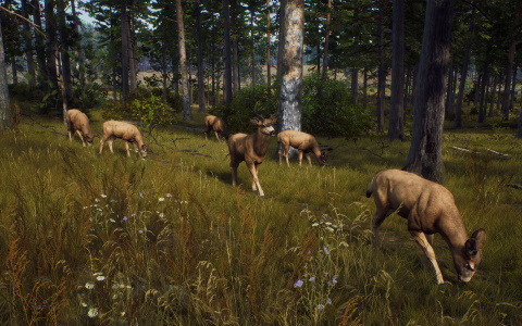 「Way of the Hunter」のPS5パッケージ版が9月8日に発売！PS5/Xbox SXのDL版は8月16日に配信