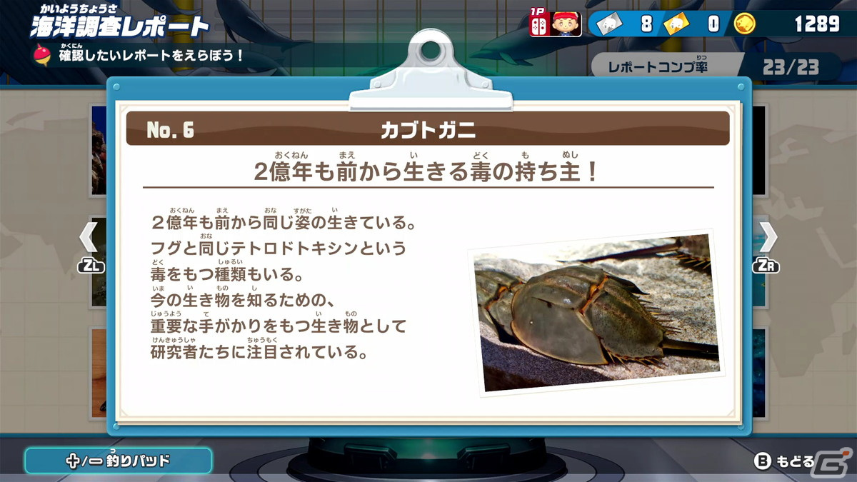 250種を超える魚が泳ぐ水族館の完成を目指せ！Switch「釣りスピリッツ 釣って遊べる水族館」が2022年に発売の画像10