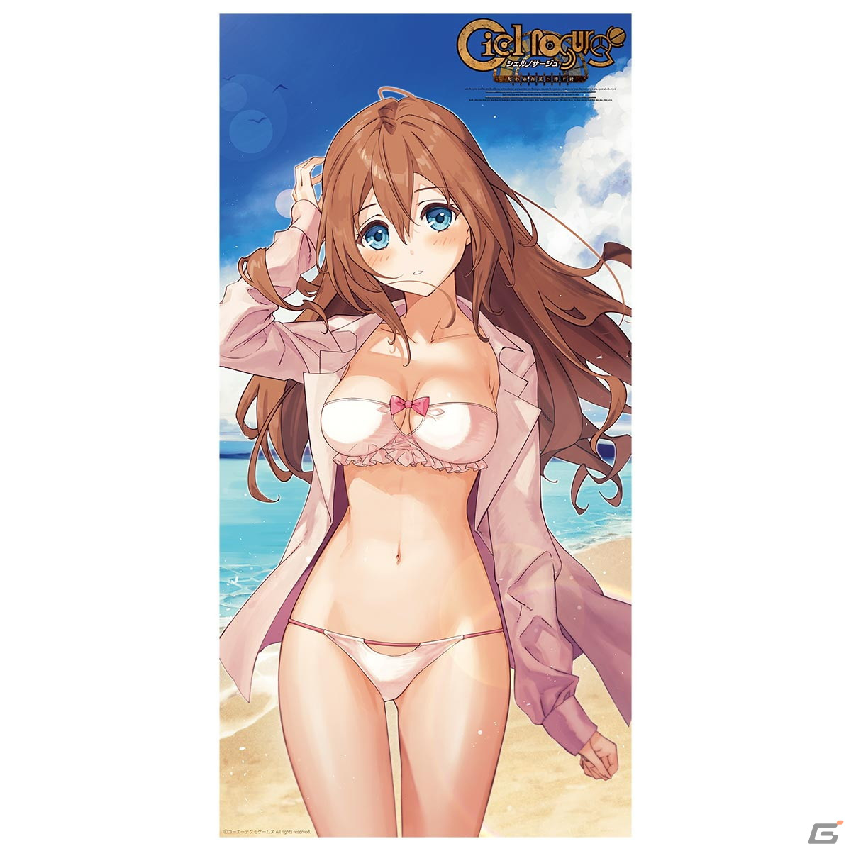 「ガストショップ＆KT SPOT出張所」がコミックマーケット100に出展！「ライザのアトリエ」の特大タペストリーなどを展開の画像15