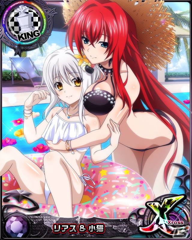 「ハイスクールD×D」アニバーサリーキャンペーン開催中！2022年人気No.1キャラクター総選挙もの画像5
