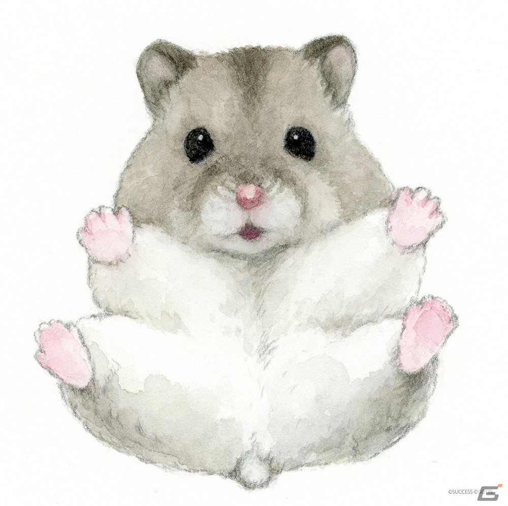 ハムスターの里づくりシミュレーション「ハムスターの里」がハムの日（8月6日）に配信開始！の画像4
