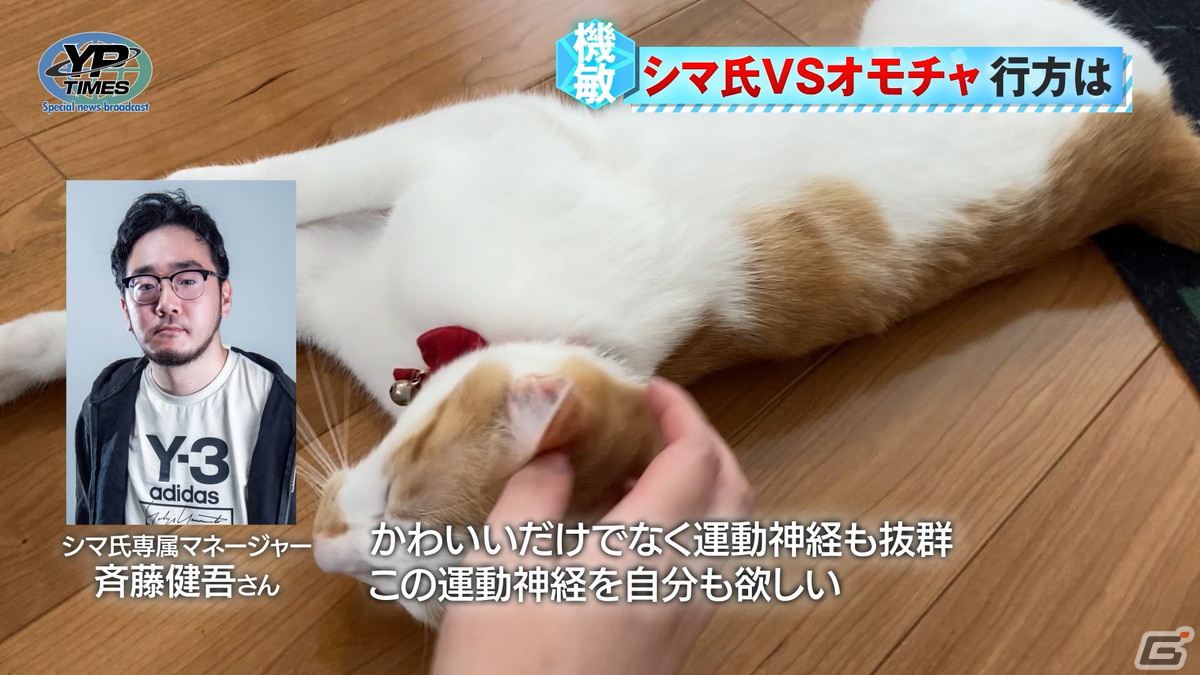 声優とクリエイターがアニメ制作について掘り下げる新ラジオ番組「立花慎之介のアニメをおかずにメシがうまい。」が実施決定！の画像4