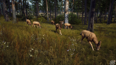 「Way of the Hunter」動物たちが暮らす雄大な自然や狩猟シーンなどを収めたリリーストレーラーが公開!の画像3