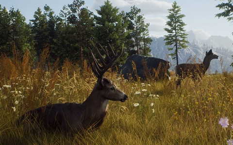 「Way of the Hunter」動物たちが暮らす雄大な自然や狩猟シーンなどを収めたリリーストレーラーが公開！