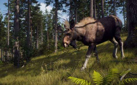 リアルな狩猟体験を楽しめる「Way of the Hunter」PS5パッケージ版が本日発売！