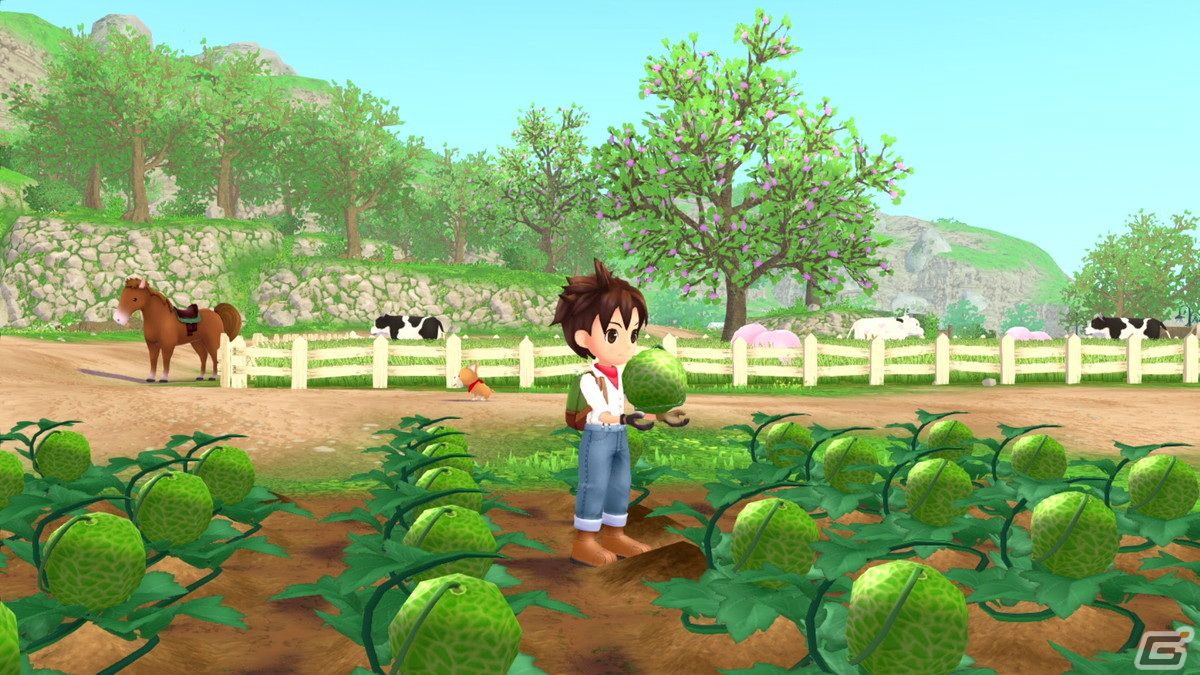 Switch「牧場物語 Welcome！ワンダフルライフ」が2023年1月26日に発売！性別の選択や新たなイベントなど新要素が追加の画像11