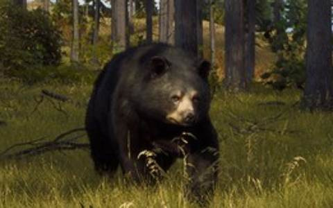 「Way of the Hunter　ウェイ オブ ザ ハンター」トランシルバニア地方にヒグマが登場するアップデート版が配信