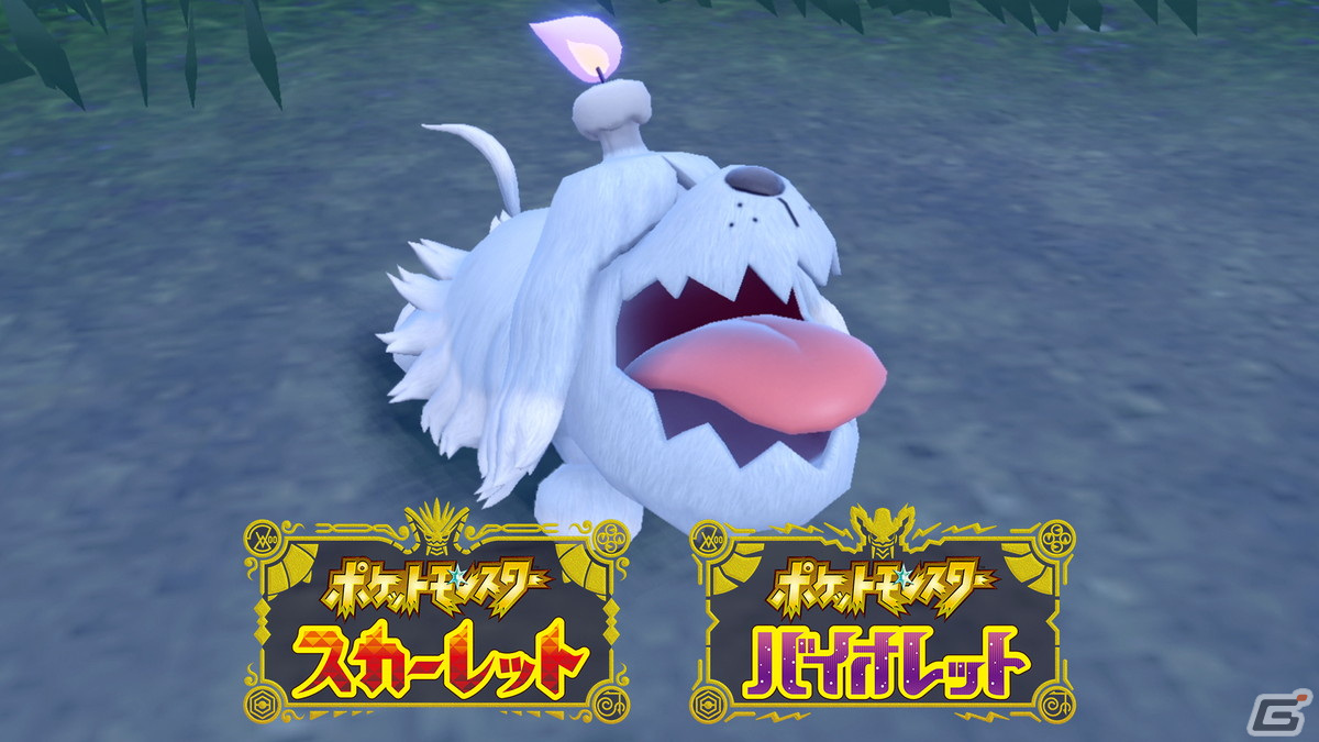 「ポケットモンスター スカーレット・バイオレット」新たなポケモン「ボチ」の特別映像が公開！の画像1