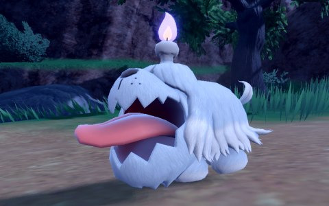 「ポケットモンスター スカーレット・バイオレット」新たなポケモン「ボチ」の特別映像が公開！