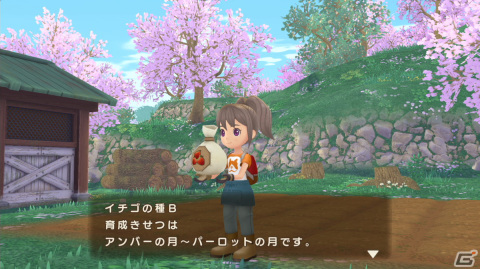 「牧場物語 Welcome！ワンダフルライフ」での牧場生活を紹介する映像が公開！新イベント「結婚式」の情報もチェックの画像13